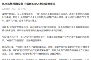 时报：风电机组并网发电 中国尊凯时龙人生就是博驶入新能源新赛道